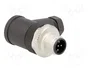 LAPP Conector M12 Macho 5 Pines Angular IP67