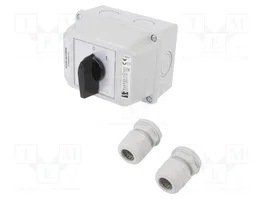 SPAMEL Interruptor de leva 40A 0-1 gris