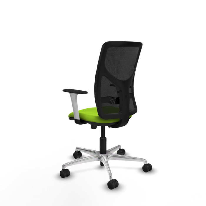 PIQUERAS Y CRESPO Silla de oficina Motilla con mecanismo Sincro/Traslack, Pistacho y Negro PIQUERAS Y CRESPO Silla de oficina Motilla con mecanismo Sincro/Traslack, Pistacho y Negro