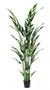 DKD Home Decor Planta Ave del Paraíso Verde y Blanco en Maceta de Cemento