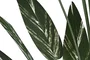 DKD Home Decor Planta Ave del Paraíso Verde y Blanco en Maceta de Cemento