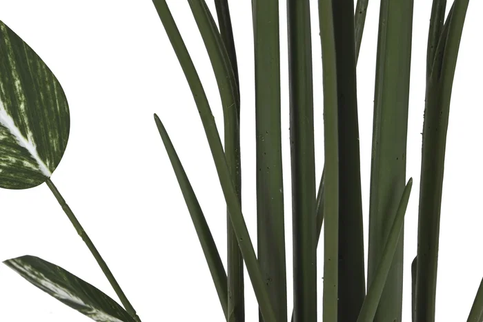 DKD Home Decor Planta Ave del Paraíso Verde y Blanco en Maceta de Cemento
