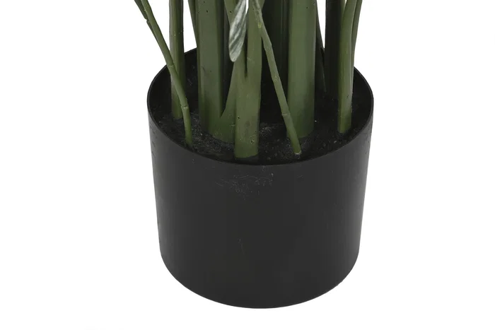 DKD Home Decor Planta Ave del Paraíso Verde y Blanco en Maceta de Cemento