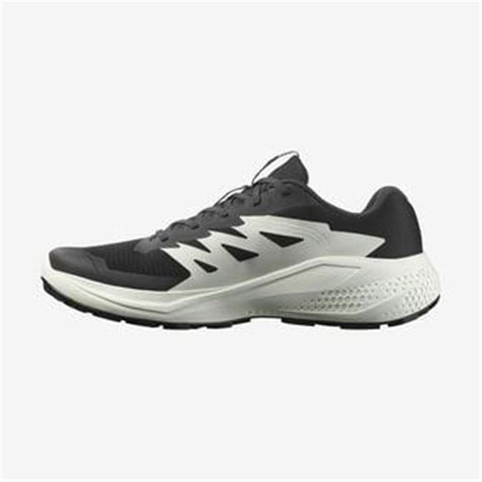 Zapatillas de trail para hombre Salomon Alphaglide Negro M