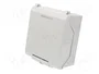HENSEL ENYFLEX® Carcasa Universal Gris Claro