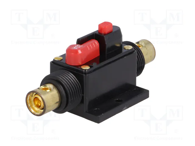 4CARMEDIA Fusible Automático de Coche 30A Retardado