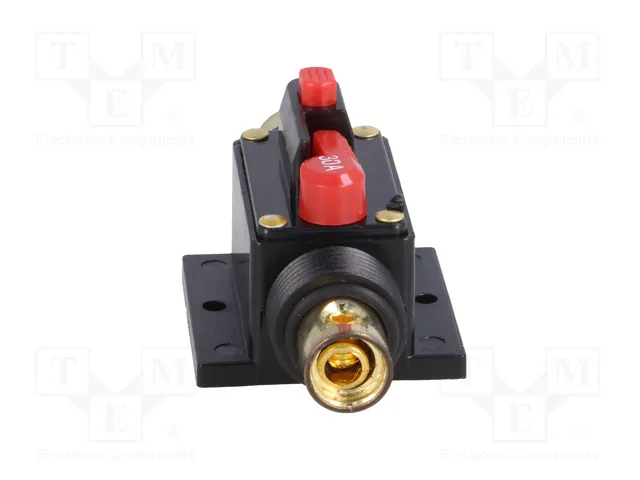 4CARMEDIA Fusible Automático de Coche 30A Retardado
