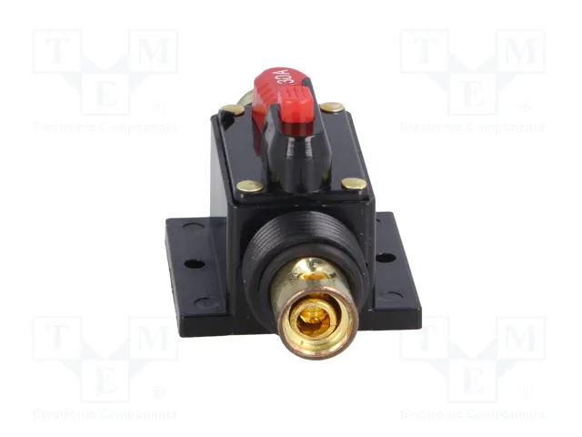 4CARMEDIA Fusible Automático de Coche 30A Retardado