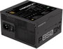 Gigabyte P850GM 850W 80 PLUS Gold Modular Negro