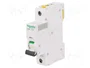 SCHNEIDER ELECTRIC iC60N 1 Polo 2A Característica B