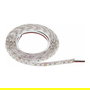 Synergy21 S21-LED-F00047 Regleta LED Flex Strip 3528 120 DW (CCT) DC24V 48W, Blanco Frío/Cálido, 600 LEDs, 5000 mm, IP20, Interior