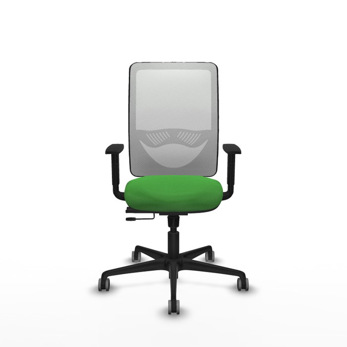 PIQUERAS Y CRESPO Silla de oficina Zulema con mecanismo Sincro/Traslack Verde y Blanco PIQUERAS Y CRESPO Silla de oficina Zulema con mecanismo Sincro/Traslack Verde y Blanco