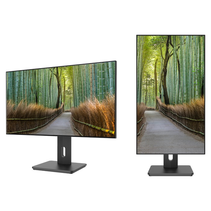 JapanNext JN-27IPS4FLWQHDR-HSP Monitor Gaming 68.6cm (27") WQHD IPS 2560x1440 1ms HDR400 95% DCI-P3 FreeSync 178º Negro