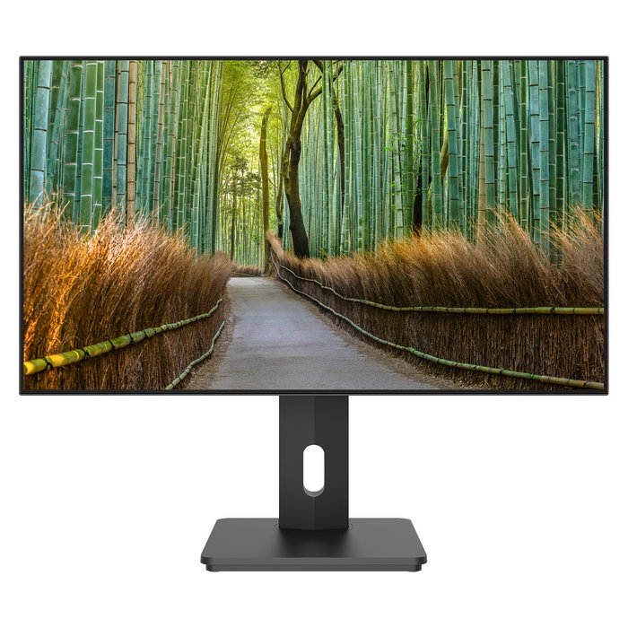 JapanNext JN-27IPS4FLWQHDR-HSP Monitor Gaming 68.6cm (27") WQHD IPS 2560x1440 1ms HDR400 95% DCI-P3 FreeSync 178º Negro