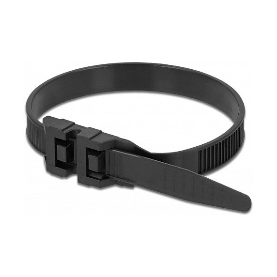 DeLOCK 18889 Brida reutilizable con doble cabezal 250 x 9 mm Negro