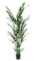 DKD Home Decor Planta Ave del Paraíso Verde 80x80x200 cm con Base de Cemento