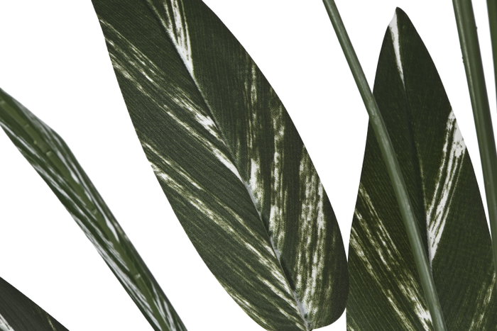 DKD Home Decor Planta Ave del Paraíso Verde 80x80x200 cm con Base de Cemento