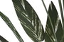 DKD Home Decor Planta Ave del Paraíso Verde 80x80x200 cm con Base de Cemento