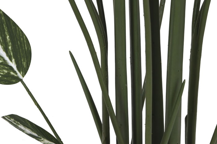 DKD Home Decor Planta Ave del Paraíso Verde 80x80x200 cm con Base de Cemento