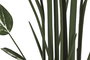 DKD Home Decor Planta Ave del Paraíso Verde 80x80x200 cm con Base de Cemento