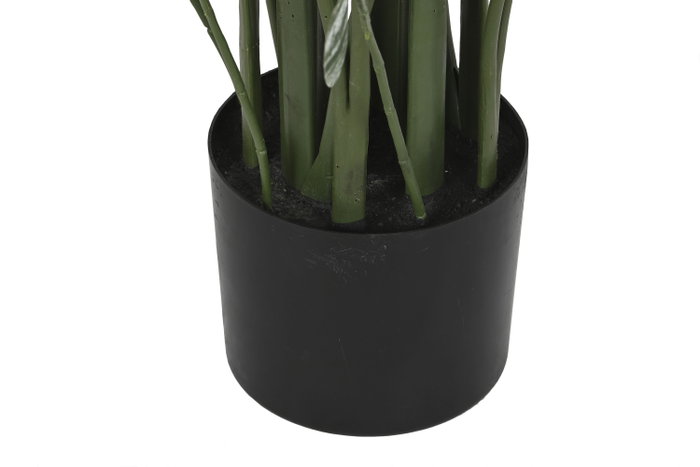 DKD Home Decor Planta Ave del Paraíso Verde 80x80x200 cm con Base de Cemento