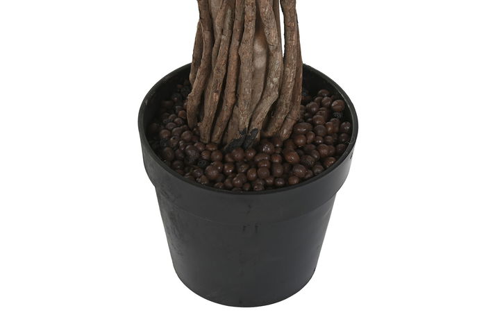 DKD Home Decor Planta Ficus Verde 80 x 80 x 150 cm (2 Unidades)