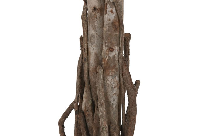 DKD Home Decor Planta Ficus Verde 80 x 80 x 150 cm (2 Unidades)