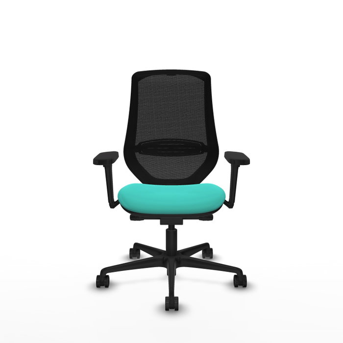 PIQUERAS Y CRESPO Silla de oficina Mardos con mecanismo Sincro/Traslack, Turquesa y Negro PIQUERAS Y CRESPO Silla de oficina Mardos con mecanismo Sincro/Traslack, Turquesa y Negro