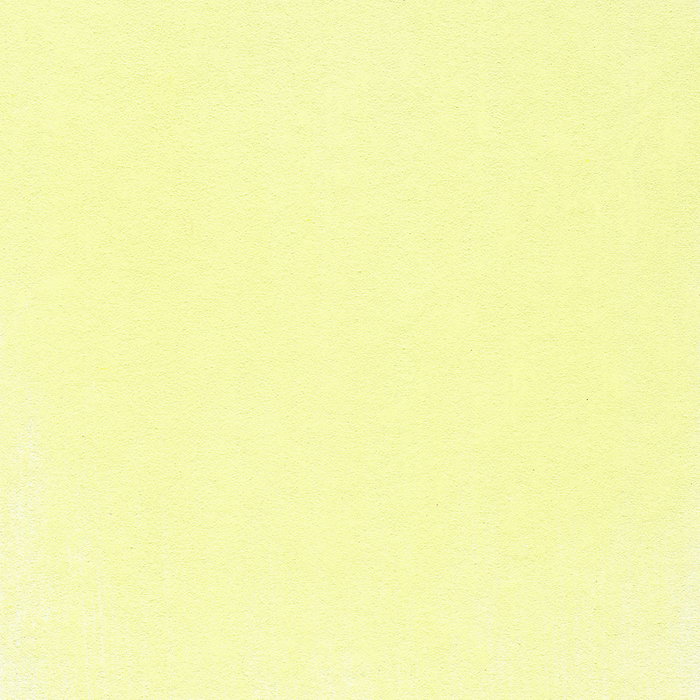 Panpastel 680.8 Amarillo Brillante Tinte Verde