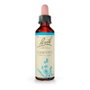 Bach Original Chicory/Achicoria Nº8 20ml