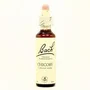 BACH Chicory Achicoria Nº8 20ml
