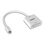 Lindy Conversor Mini DisplayPort a DVI 38318, 0,18 m
