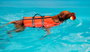Croci Chaleco salvavidas para perros 45cm
