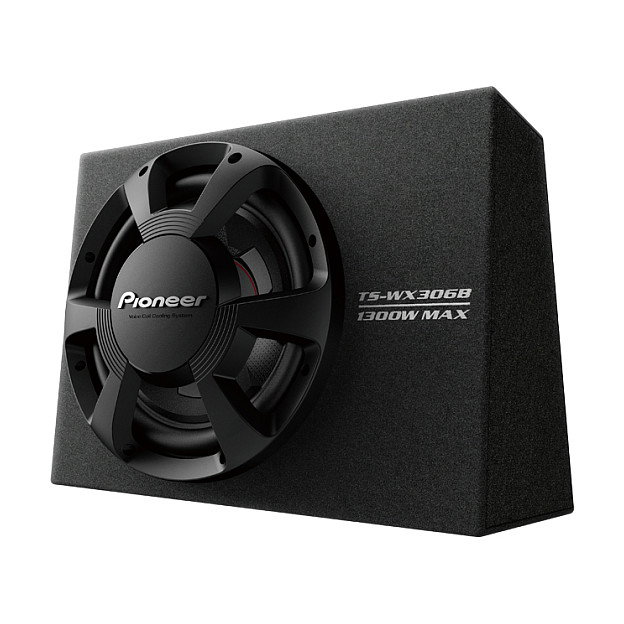 Pioneer TS-WX306B Subwoofer Activo con Caja Acústica