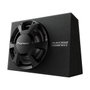 Pioneer TS-WX306B Subwoofer Activo con Caja Acústica