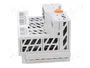 WAGO 750-890 Controlador Programable PLC