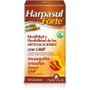 NATYSAL HARPASUL forte 40 cápsulas