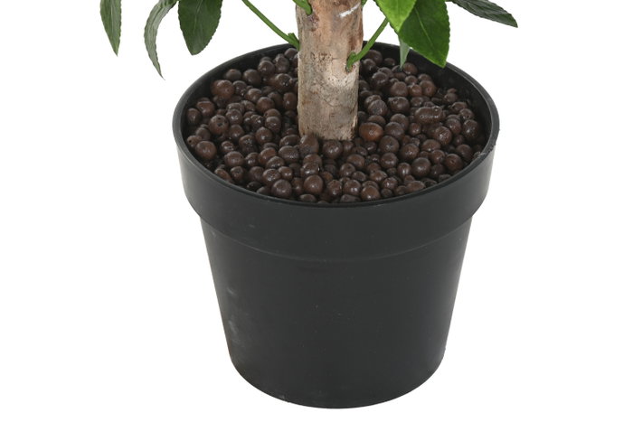 DKD Home Decor Árbol Tropical Topiario Verde y Marrón 50 x 150 x 50 cm Pack de 2 Unidades