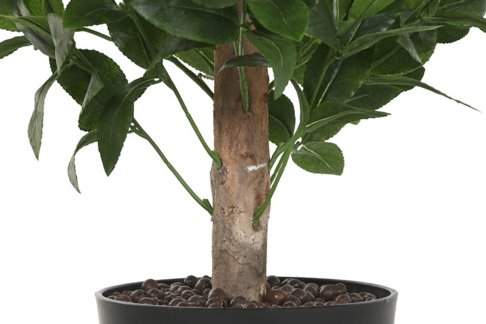 DKD Home Decor Árbol Tropical Topiario Verde y Marrón 50 x 150 x 50 cm Pack de 2 Unidades