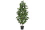 DKD Home Decor Topiario de PE y Madera 50x50x150 cm Verde