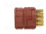 LAPP Conector M23 Hembra 16 Pines EPIC® SIGNAL M23