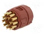 LAPP Conector M23 Hembra 16 Pines EPIC® SIGNAL M23