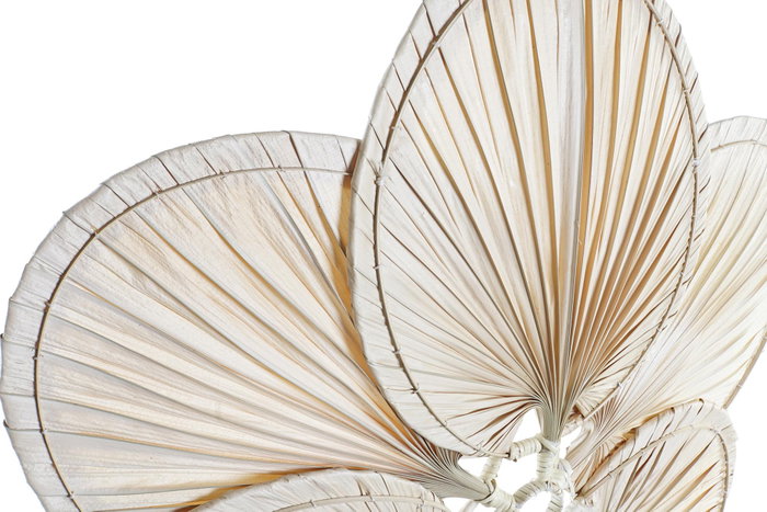 DKD Home Decor Decoración de pared Hoja de palmera con flor 80x7x80 cm DKD Home Decor Decoración de pared Hoja de palmera con flor 80x7x80 cm