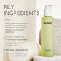 Babor Refining Enzyme & Vitamin C Limpiador