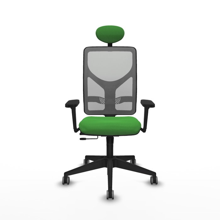PIQUERAS Y CRESPO Silla de oficina Motilla con mecanismo Sincro/Traslack, Verde y Gris