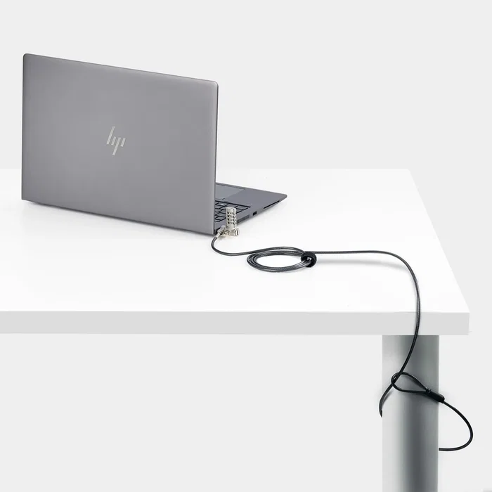 StarTech Cable Antirrobo Universal de 2m con Combinación Serializada