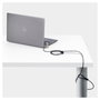 Startech Cable antirrobo universal para portátil de 2m - Serializado