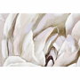 Lienzo DKD Home Decor Lienzo Madera MDF 80 x 3 x 80 cm Flor
