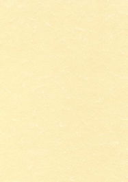 Papel Pergamino A4 Apli 95G 100H Champan