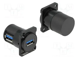 DeLOCK 88067 Módulo Keystone USB Tipo-A hembra a hembra 5 Gbps angular
